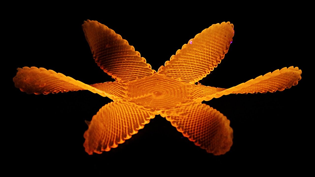 Material scientists learn how to make liquid crystal shape-shift