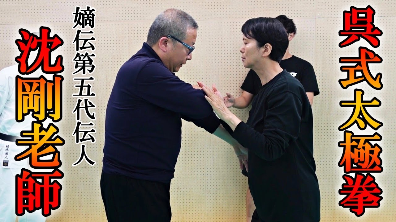 【呉式太極拳】ガチの達人から太極拳の戦闘理論を学んだら深すぎた【推手】