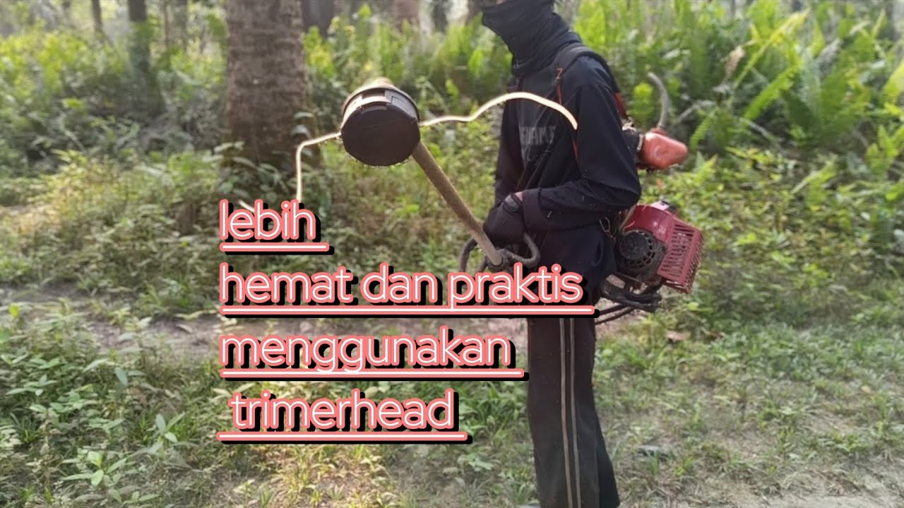 Lebih praktis dan hemat menggunakan trimerhead #lawnmowingbusiness #automobile 