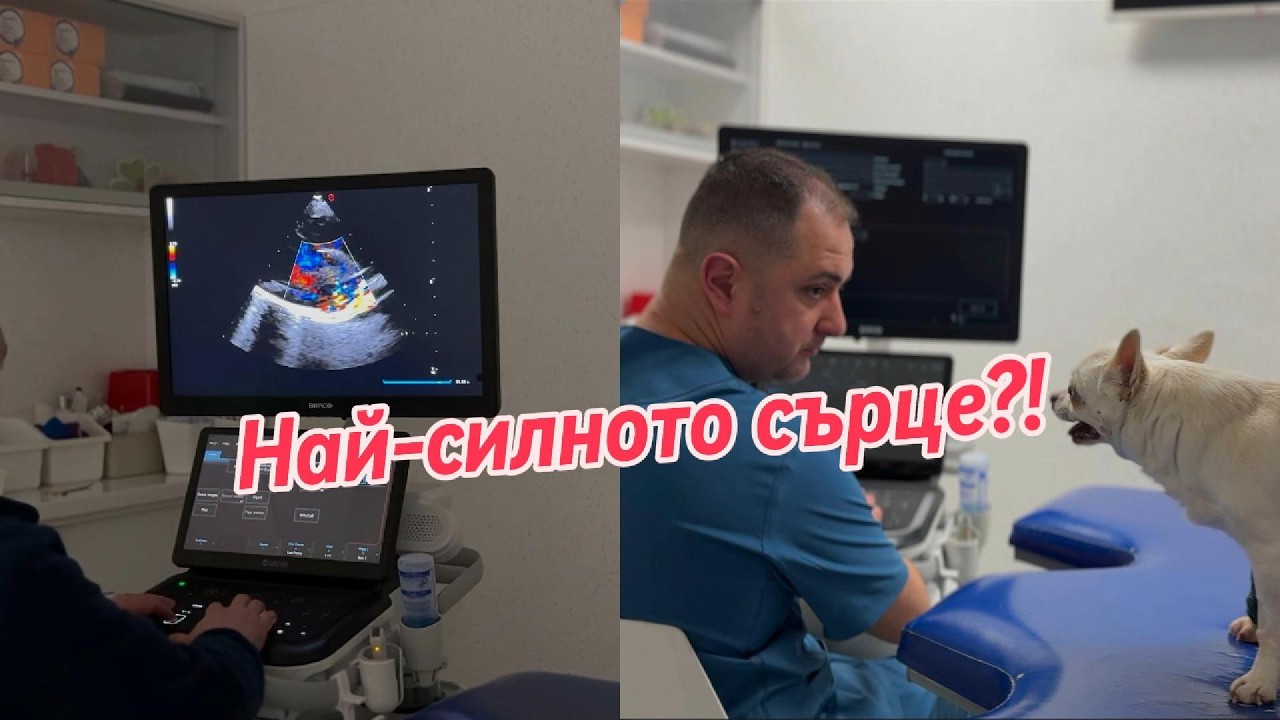 Сърцето на нашите пациенти | д-р Андрей Гинчев