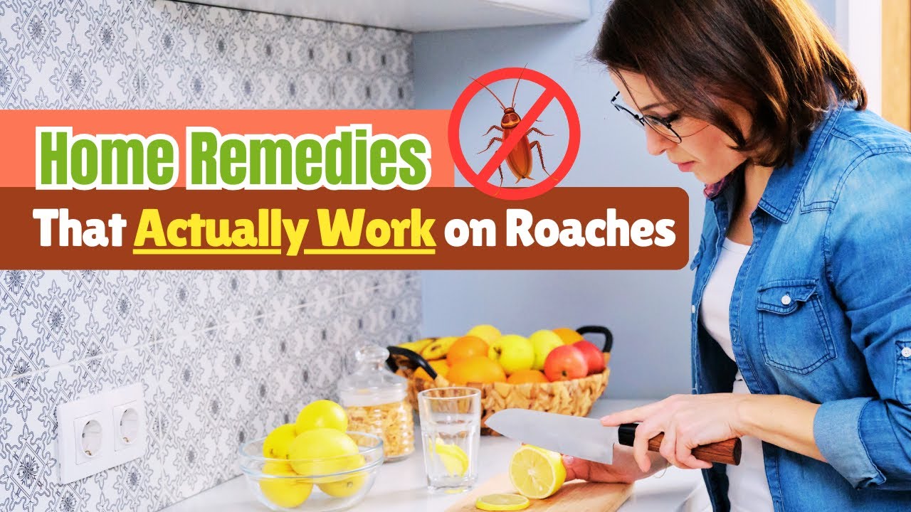 Home Remedies to Remove Cockroaches from Kitchen (That Actually Work!)
