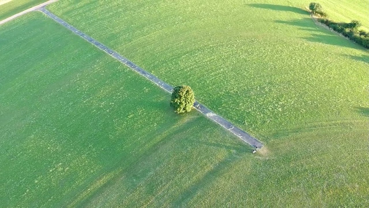 Riedb&ouml;hringen aus der Luft 2025