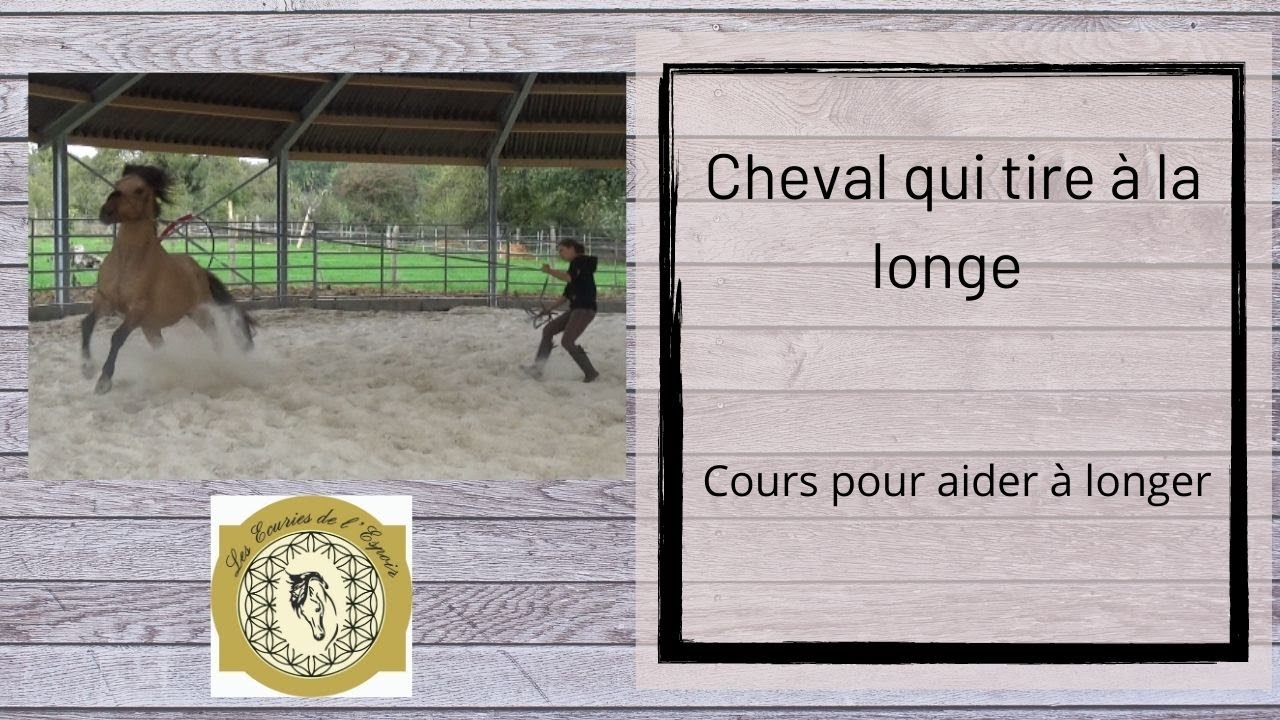 Cheval qui tire à la longe: cours pour aider à longer