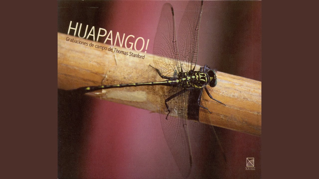 Toro requeson huasteco