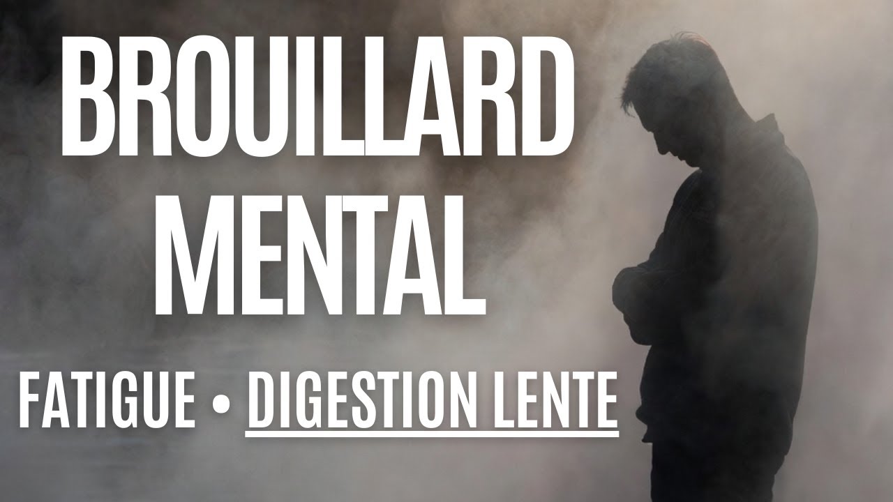 Brouillard mental, fatigue, digestion lente, douleurs : et si c’était l'humidité interne ?