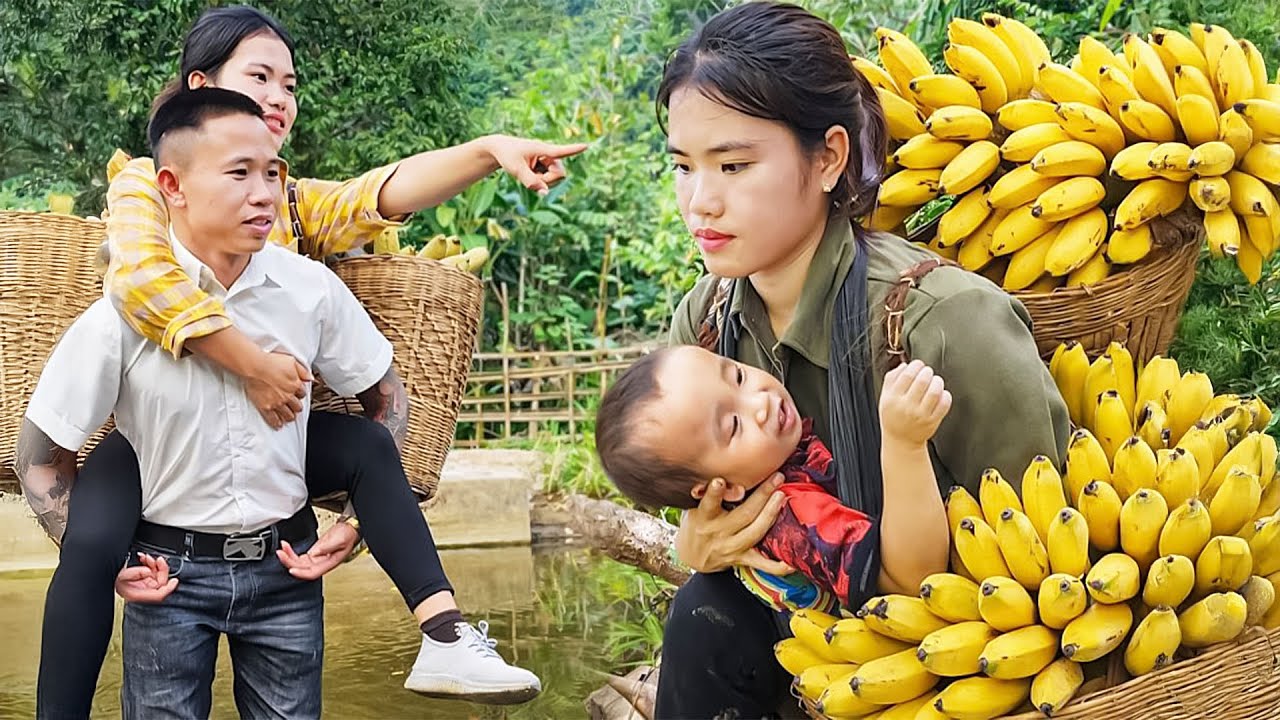 Harvesting Ripe Yellow Bananas with Husband to Sell at the Market – Making Banana Cake for Our Child