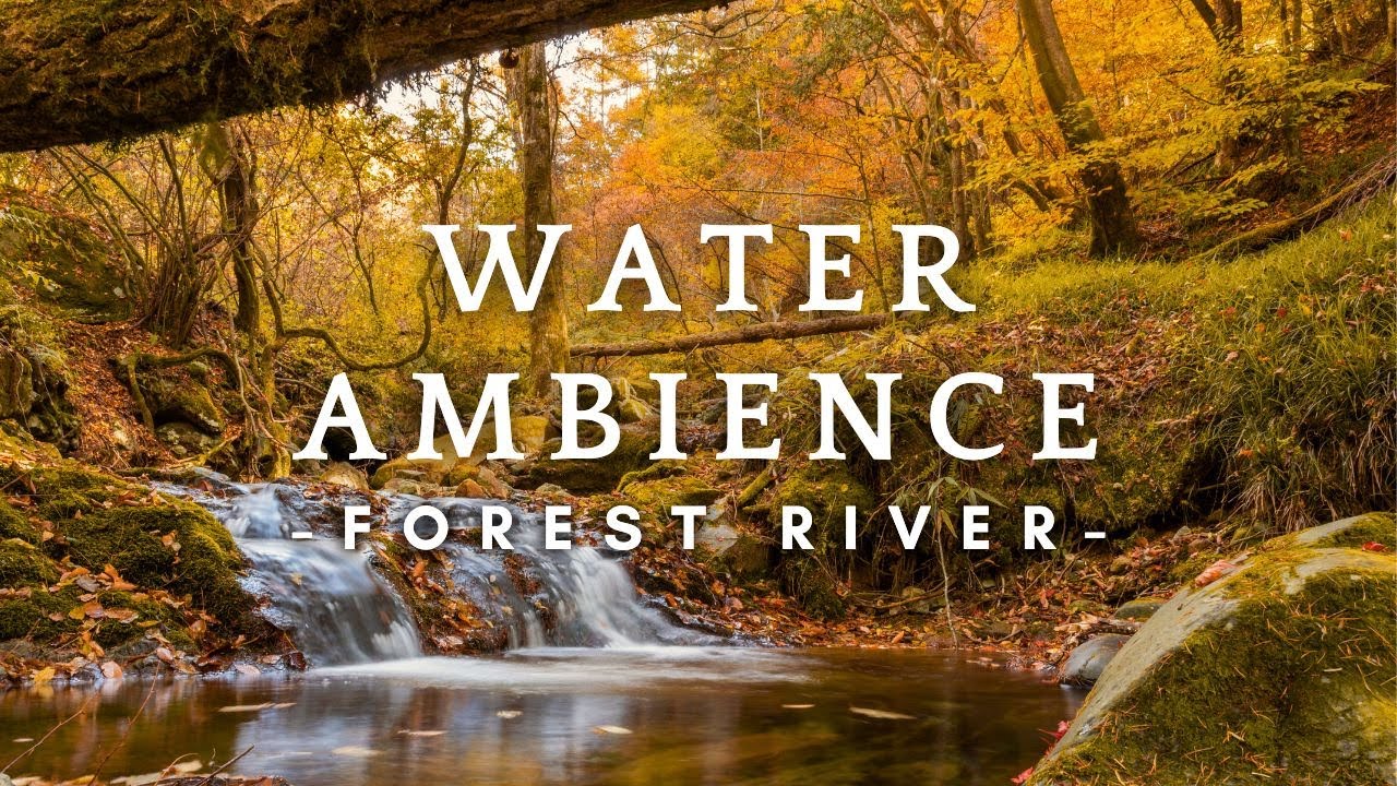 10HRS of Calming Water Trickles in a Fall Forest - Relaxing Water Sounds