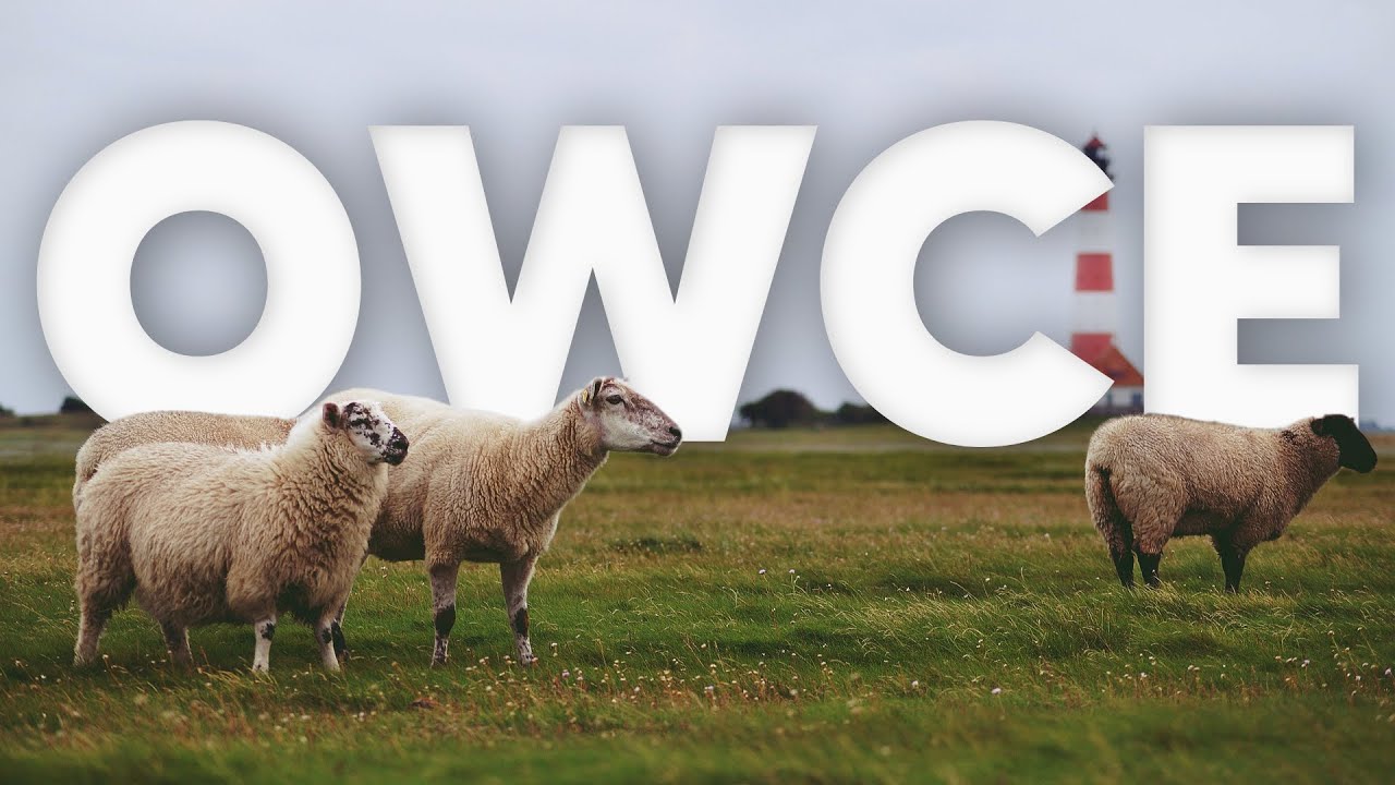 Hodowla Owiec - nie tylko OSCYPEK i WEŁNA