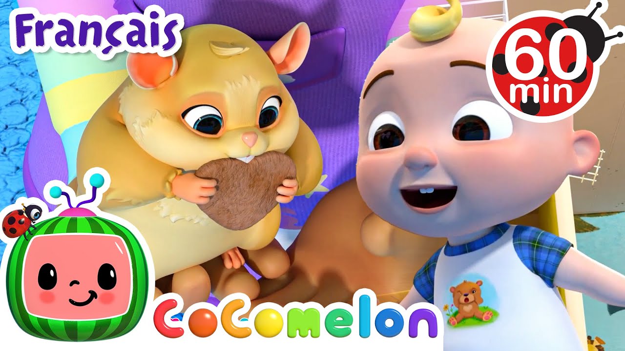 S'occuper d'un animal | CoComelon en Français | Chansons pour bébés