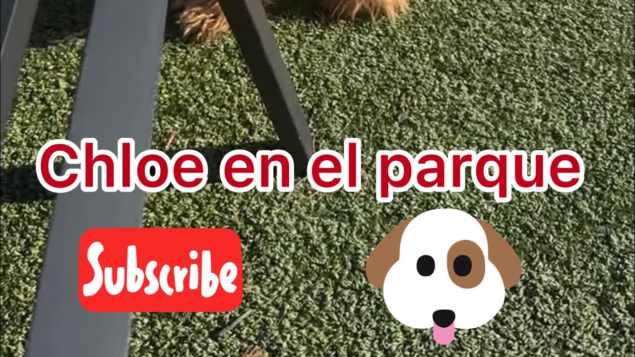 Besita D is live!