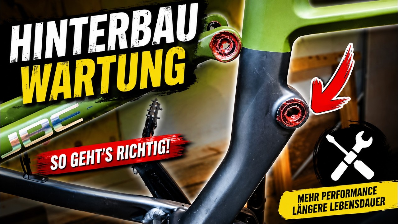 EMTB Hinterbau Wartung / Service 🔧🚴 | Anleitung Lager prüfen & fetten | #Cube Stereo Hybrid 160 TM