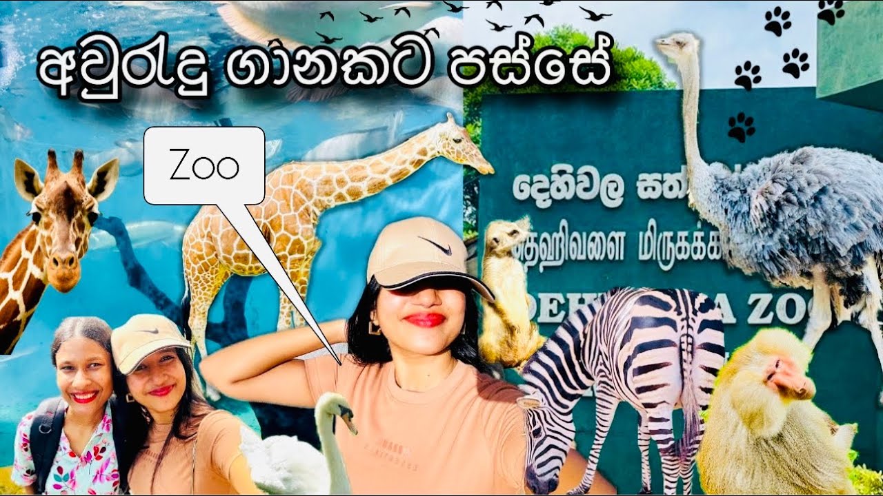 පොඩි කාලෙන් පස්සේ🩵🥺/එන්න Zoo යමු🙊/සිංහල Vlog/Day Vlog #zoo #dayinmylife #family #kumisdaybook 