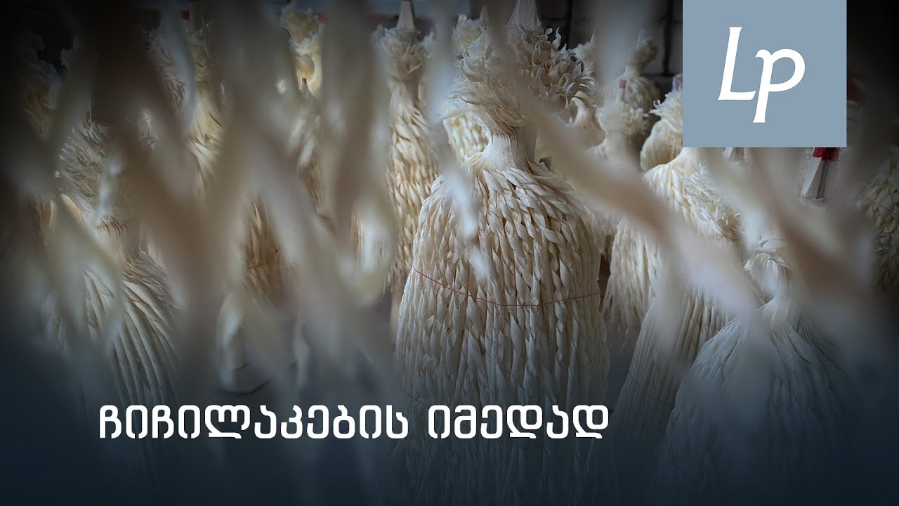 ოჯახი ჩიჩილაკების იმედად
