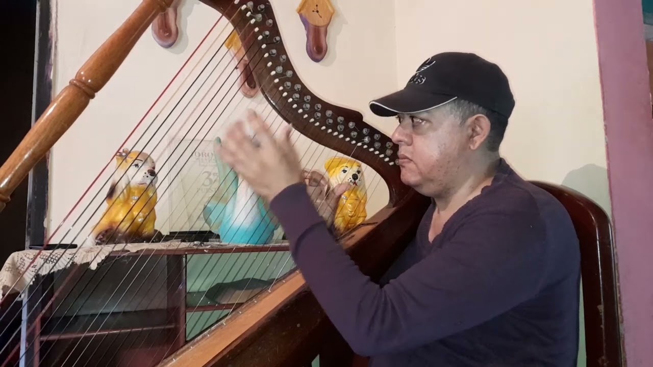 Carlos Tapia-Chiquitita instrumental Grupo ABBA