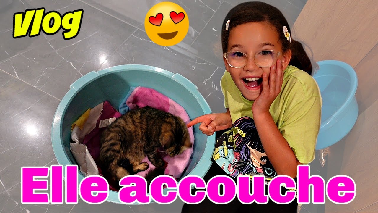 VLOG - PALESTINE a ACCOUCHE - ARRIVEE de PAPI et MAMIE pour L'AÏD