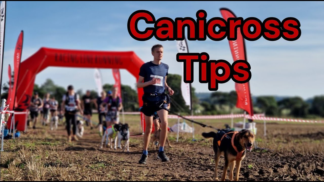 Tips for WINNING a canicross race