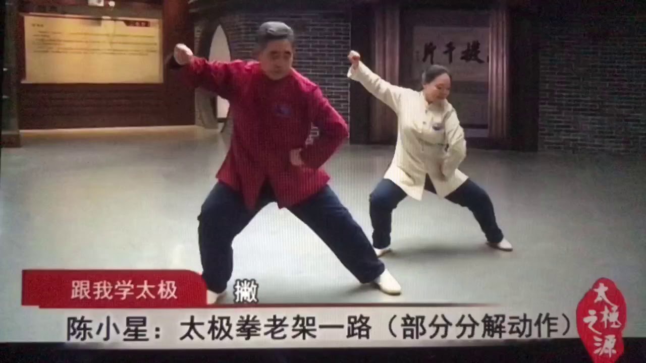 Chen Xiaoxing Old Frame First Form (Laojia Yilu) Teaching Parts 1&2