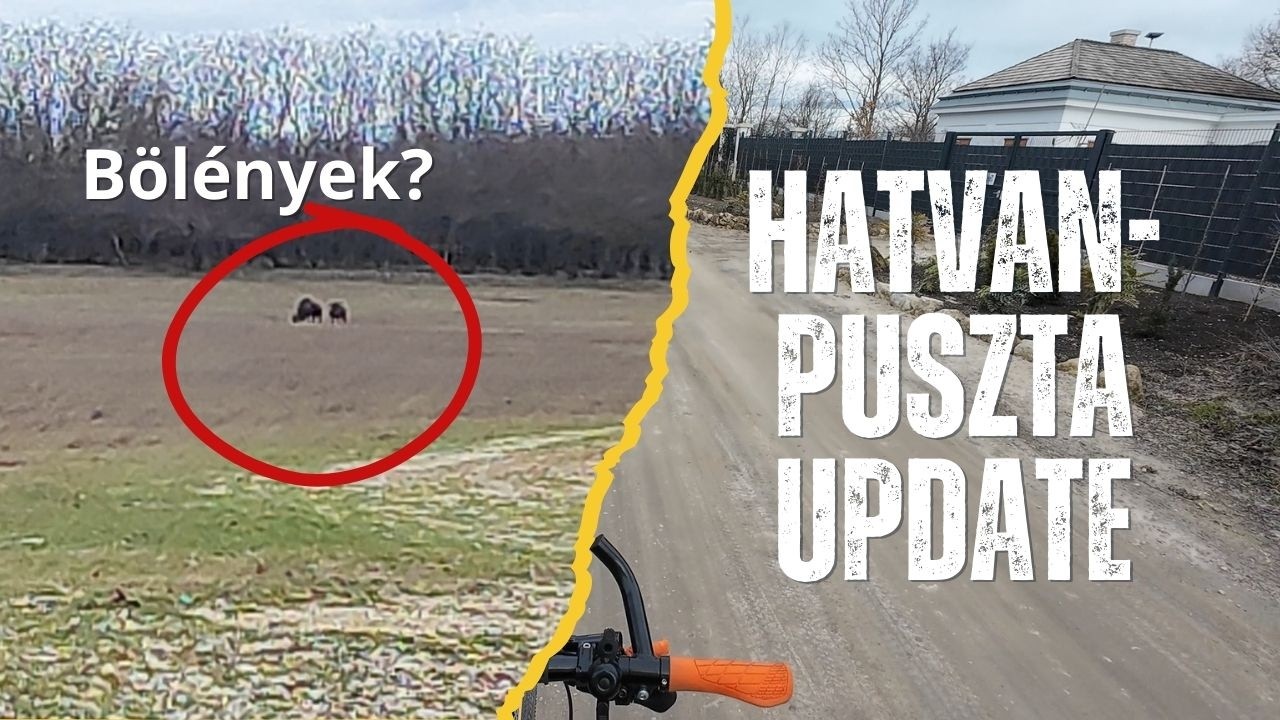 BÖLÉNYEKET láttam Hatvanpusztán