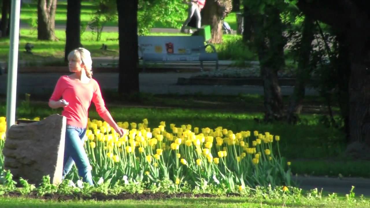 Катя Чехова - Я посылаю код