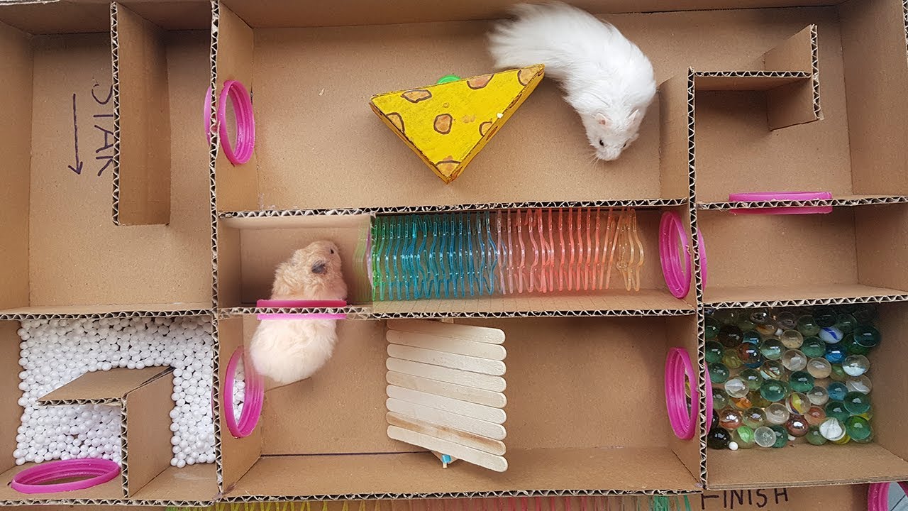 Proyectos de bricolaje que puedes hacer en casa para Hamster