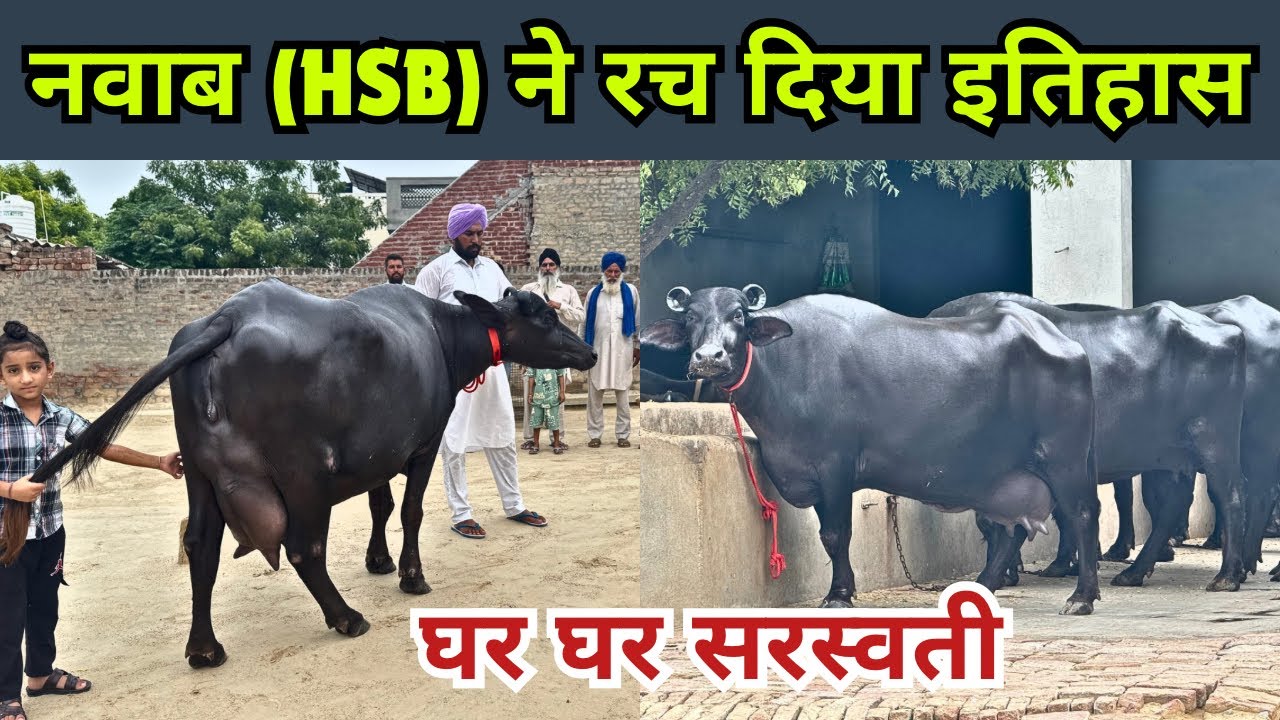 The Shocking Daughter of Nawab - माँ से दो गुनी बेटी - शानदार नवाब की बेटी || घर घर सरस्वती - HSB