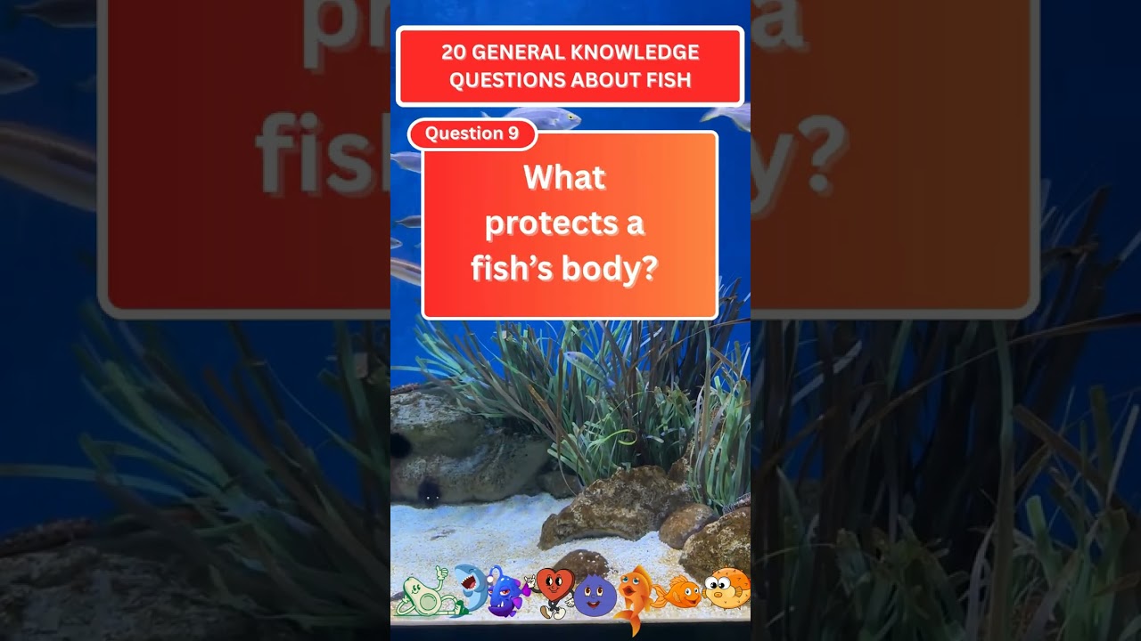 20 Fun Fish Quiz Questions and Answers | Test Your Ocean Knowledge!