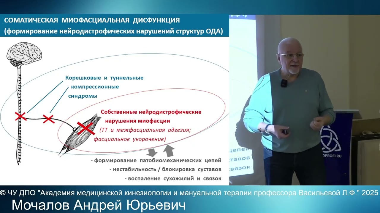 Структуральная кинезиопрактика — инструмент для безопасной и эффективной реабилитации | Вебинар