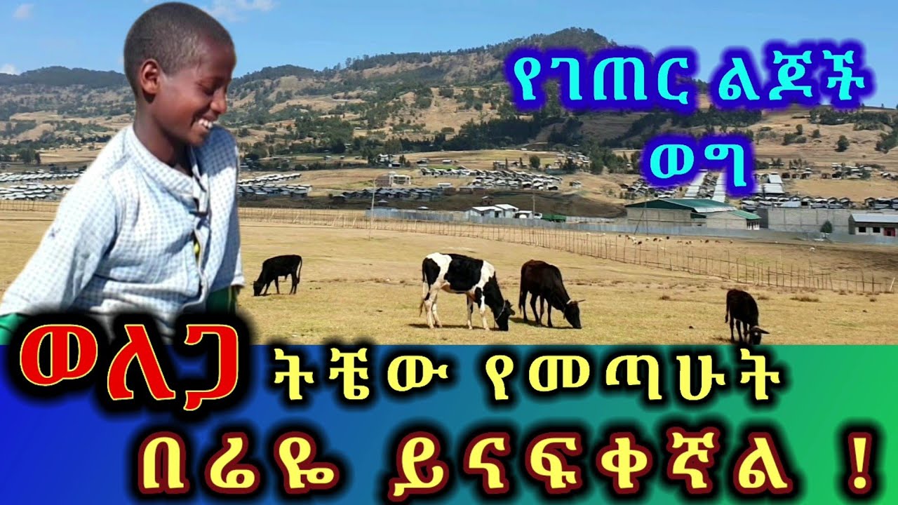 ✅ ወለጋ ትቼው የመጣሁት በሬዬ ይናፍቀኛል ! ልጅነት ውስጥ ሆኖ በልጅነት ትዝታ መንገላታት |የገጠር ልጆች ወግ|Tossa tube |ድንቅ ልጆች