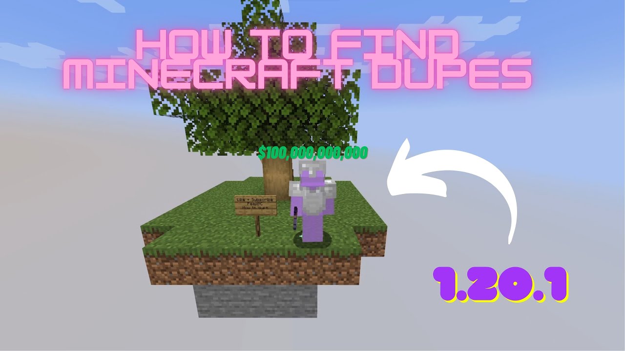 How To Find Minecraft Java Dupes - Any server