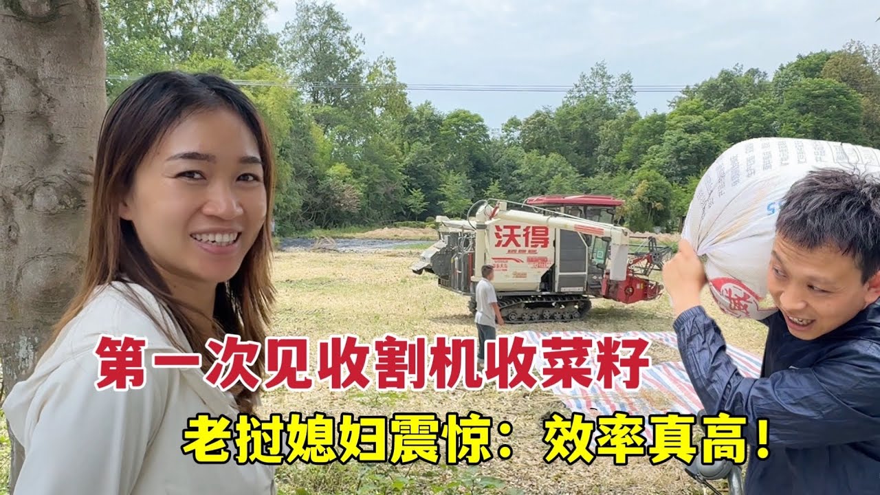 老挝媳妇去农村收菜籽，第一次见用收割机作业被震惊：效率太牛了！
