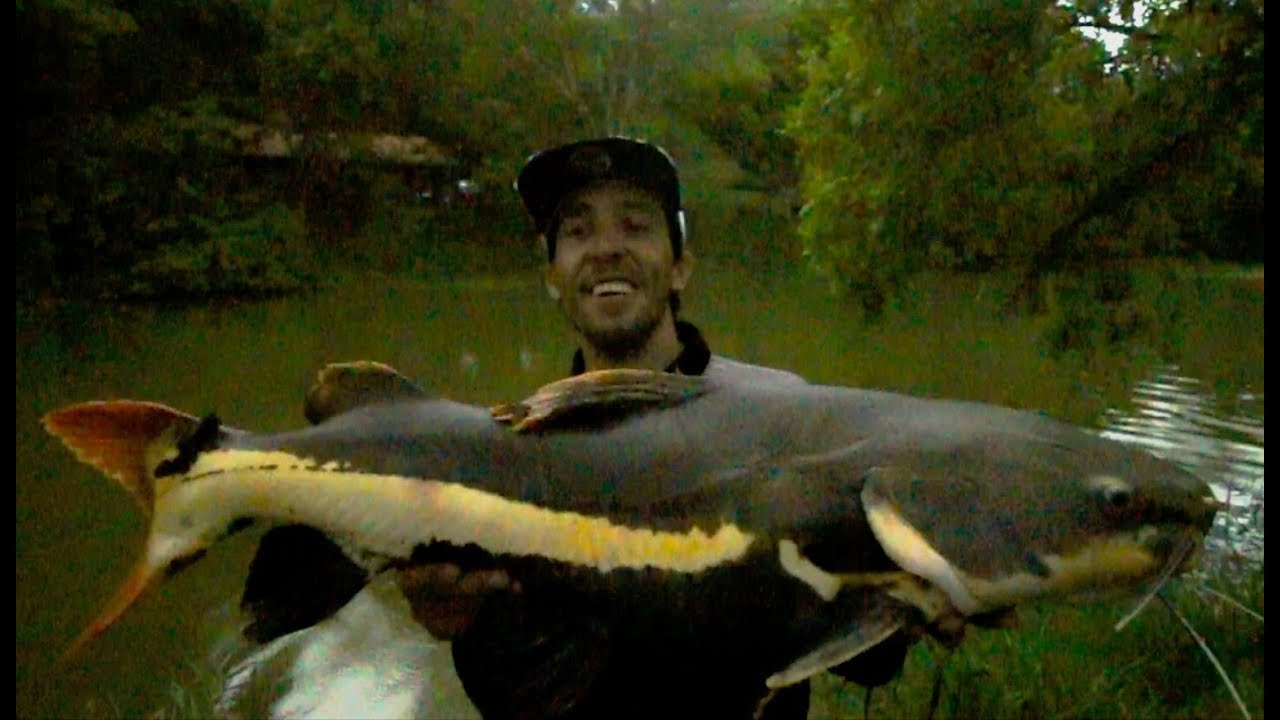 ULTRALIGHT - Dicas PIRARARA  JOGANDO SUJO Pesqueiro Castelinho -Pirararas difíceis mas vieram ..