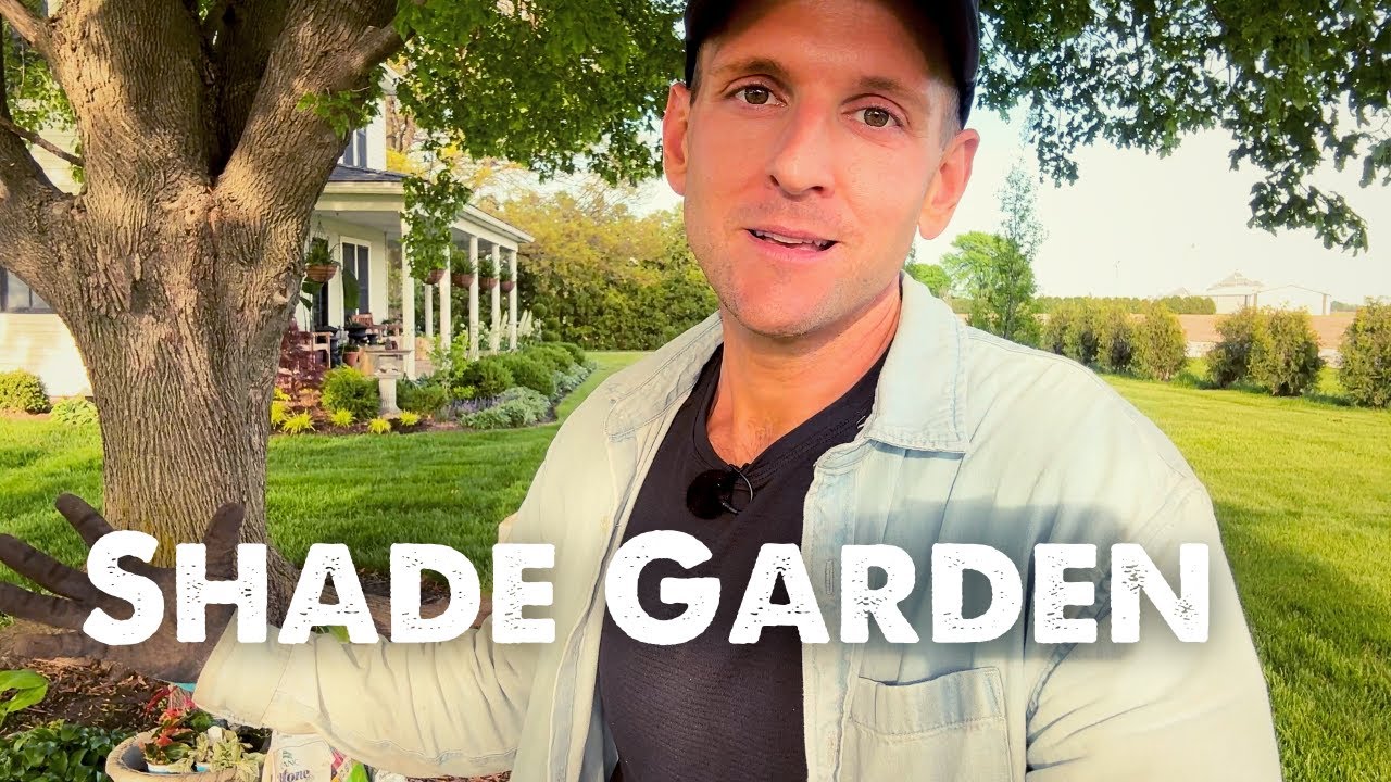 Planting Shade Loving Perennials || Wyse Guide