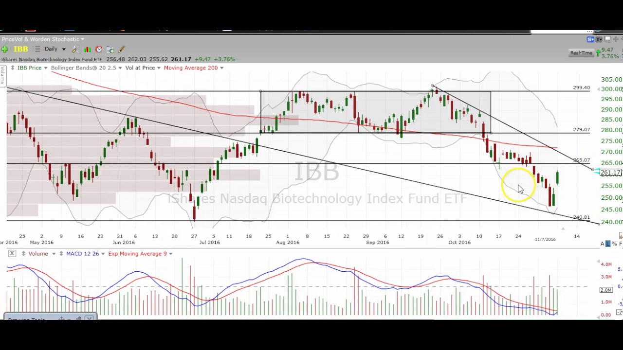 Biotech Chart Technical Analysis $IBB $NBI $XBI $UBIO $LABU $LABD $BIB $FBT $GILD $BIIB $CELG $AMGN