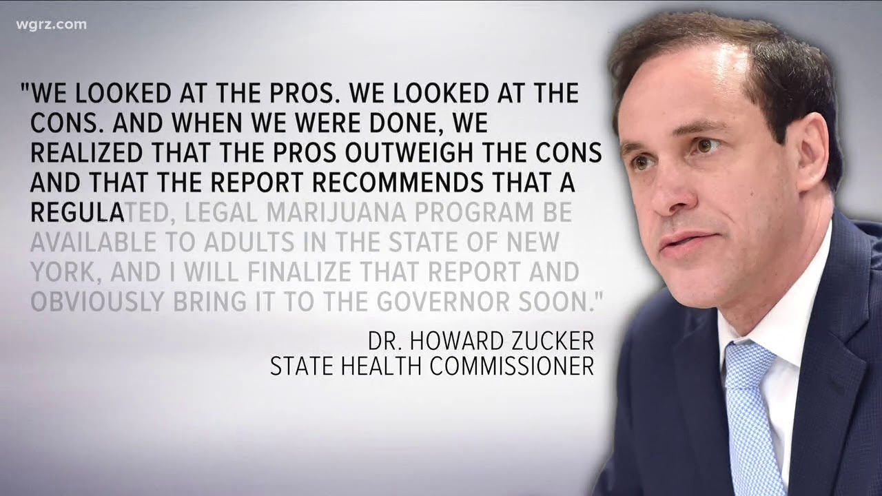 NYS Health CMSR Recommends Making Pot Legal
