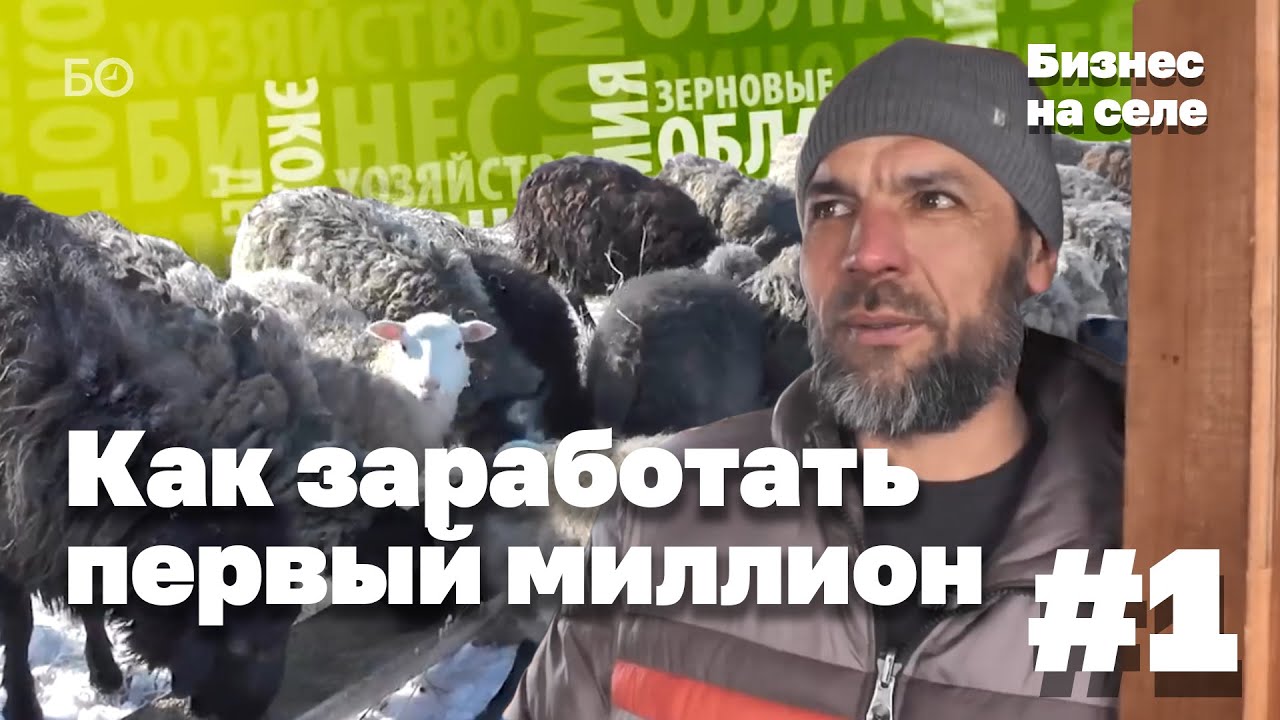 Как фермер из Мамадышского района заработал свой первый миллион? | Бизнес на селе #1