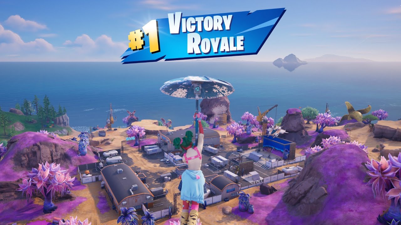 19 Kill Solo Battle Royale 