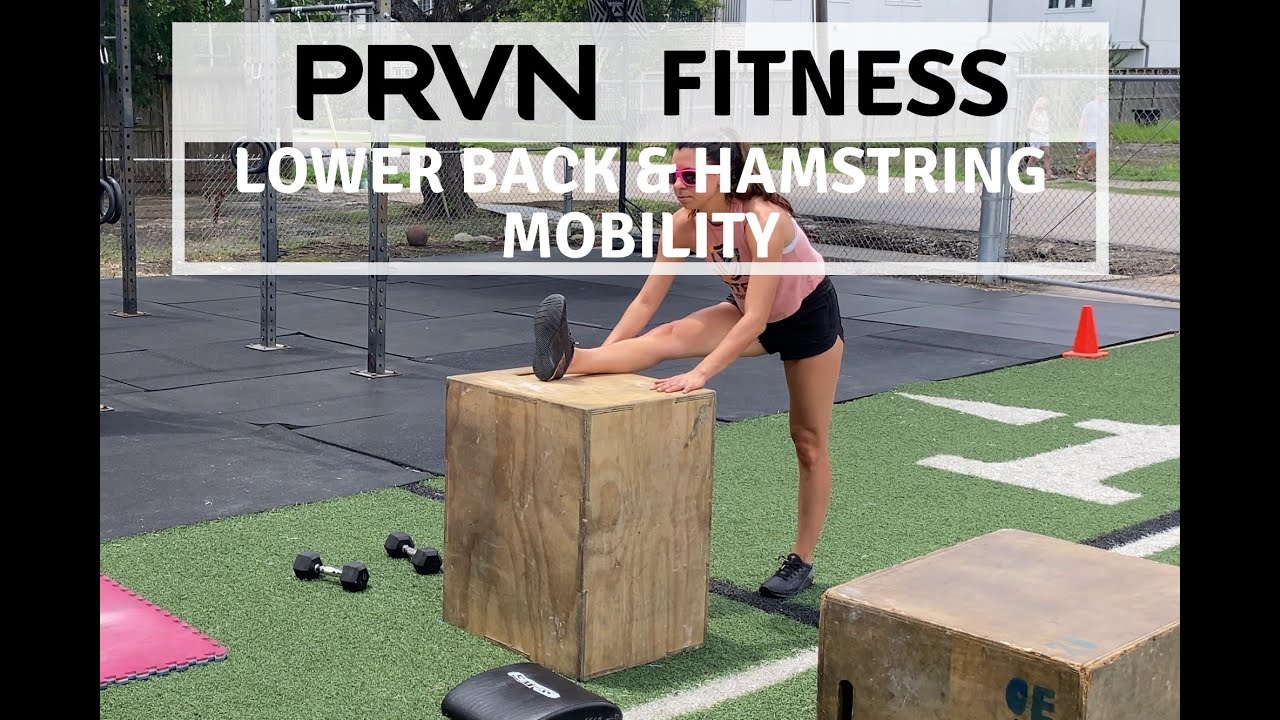 PRVN Fitness | Lower Back & Hamstring Mobility