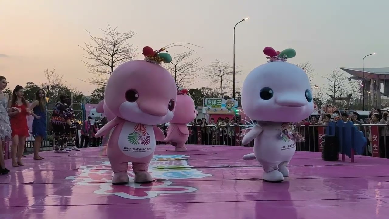 年鸡舞团真的好可爱