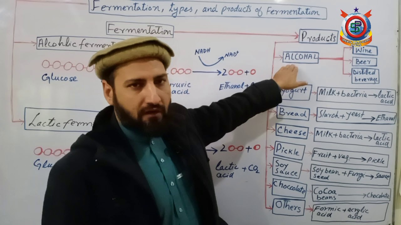 Class 10th Bio Lecture 51 Topic; Fermentation, it's types and product