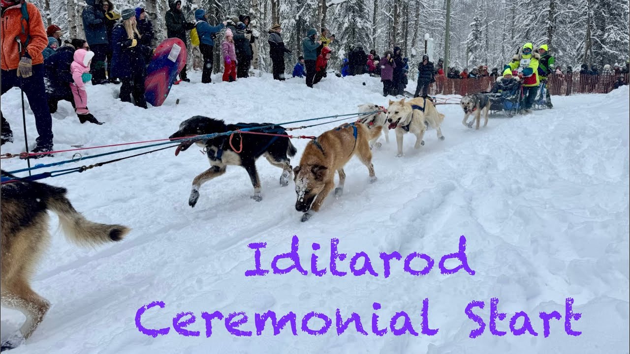Iditarod Ceremonial Start
