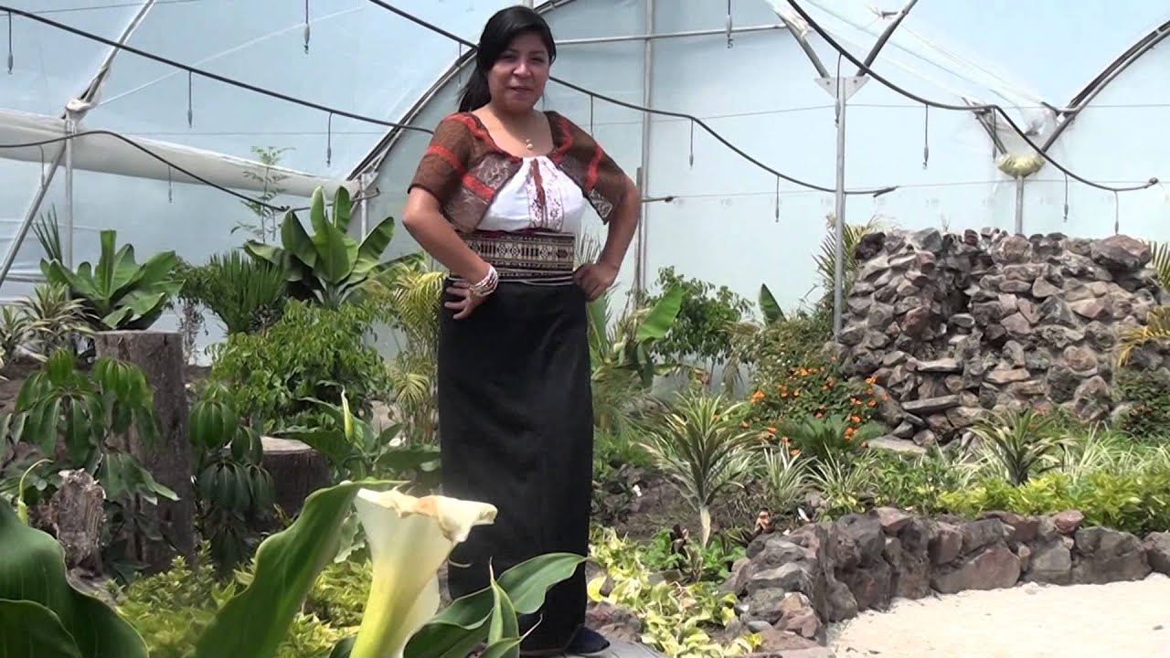 MANA PI MUSA CHARINI -  MELCHOR DAQUILEMA 2015