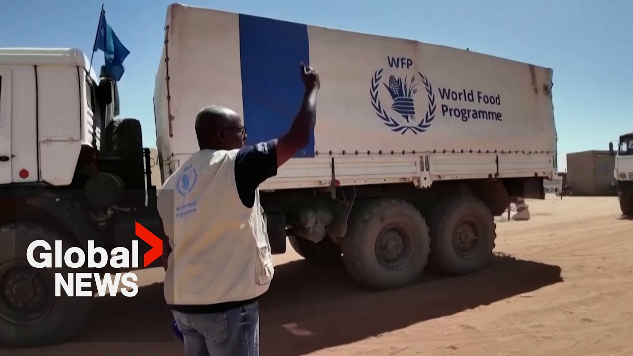 Sudan crisis: Refugees resorting to "extreme measures" to survive famine, WFP says