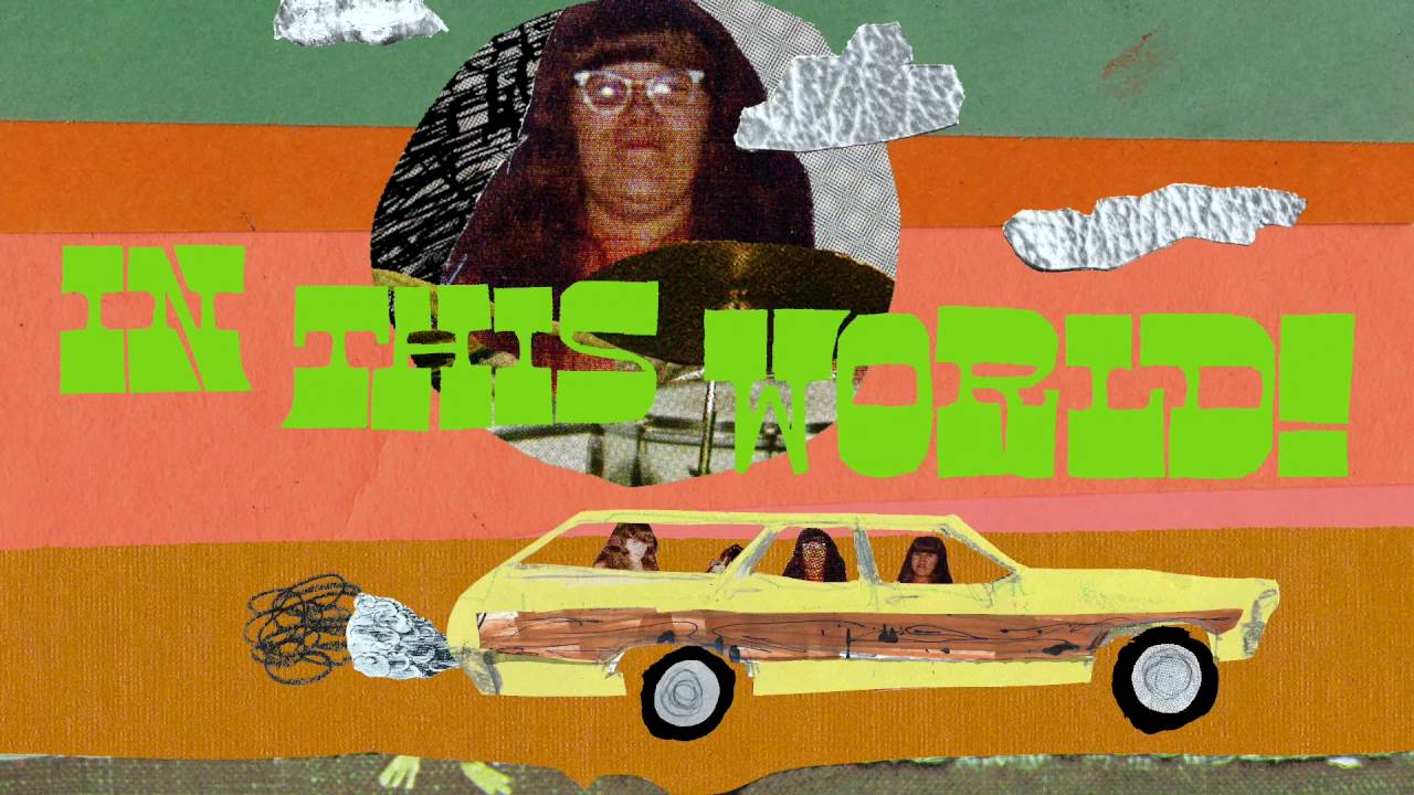 Light In The Attic Presents: The Shaggs 