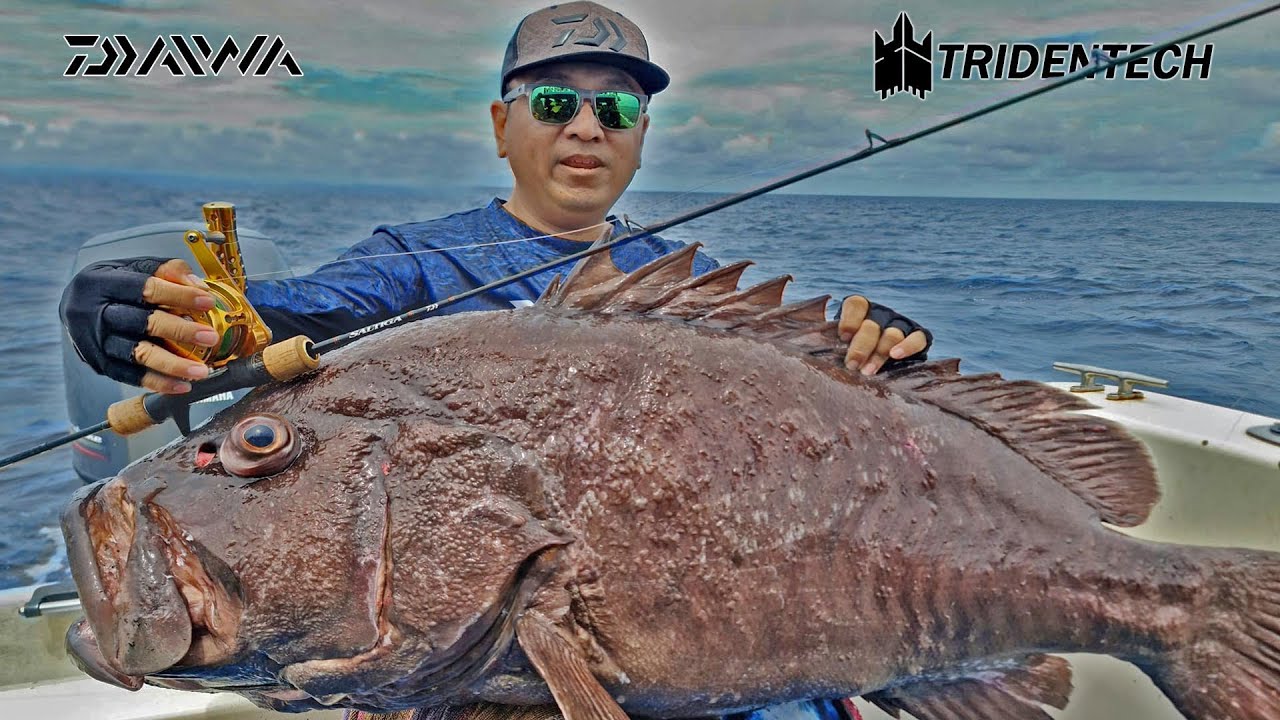HAJAR HABIS-HABISAN JORAN BARU DAIWA SALTIGA SJ AGS 55B-4 TG | LANDED MONSTER KERAPU KERTANG| PART 1