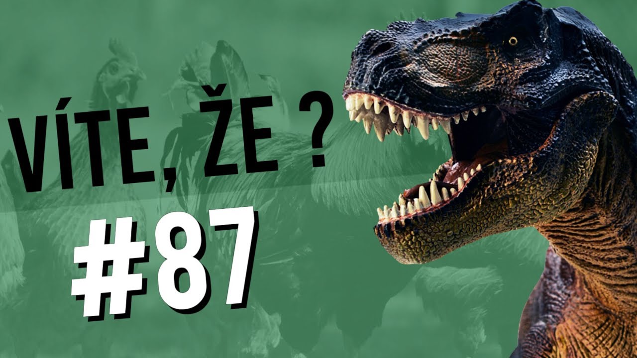 #87 ● V&Iacute;TE, ŽE...?