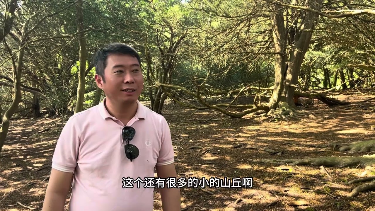 英格兰空气质量最好的地区