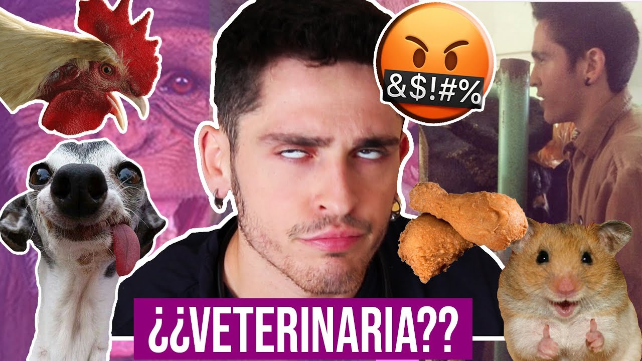 LA REALIDAD sobre VETERINARIA | Jose Zafer