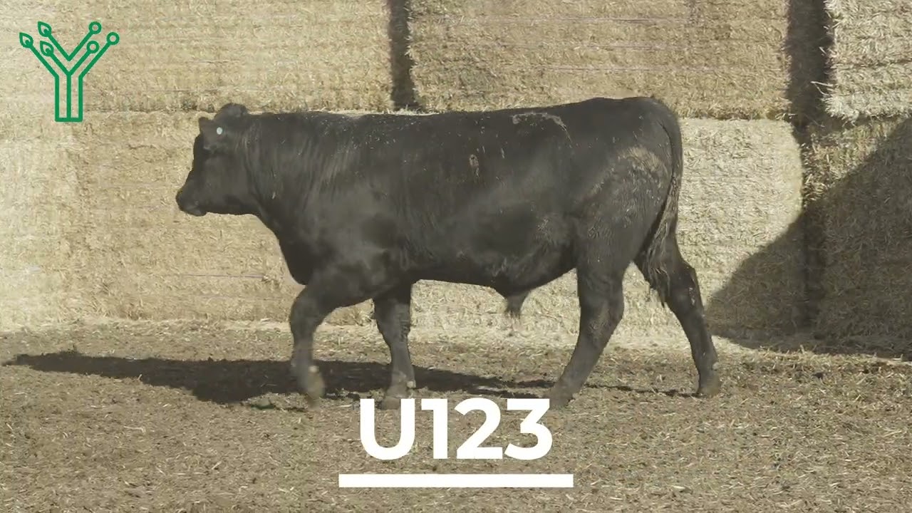 Twynam U0123