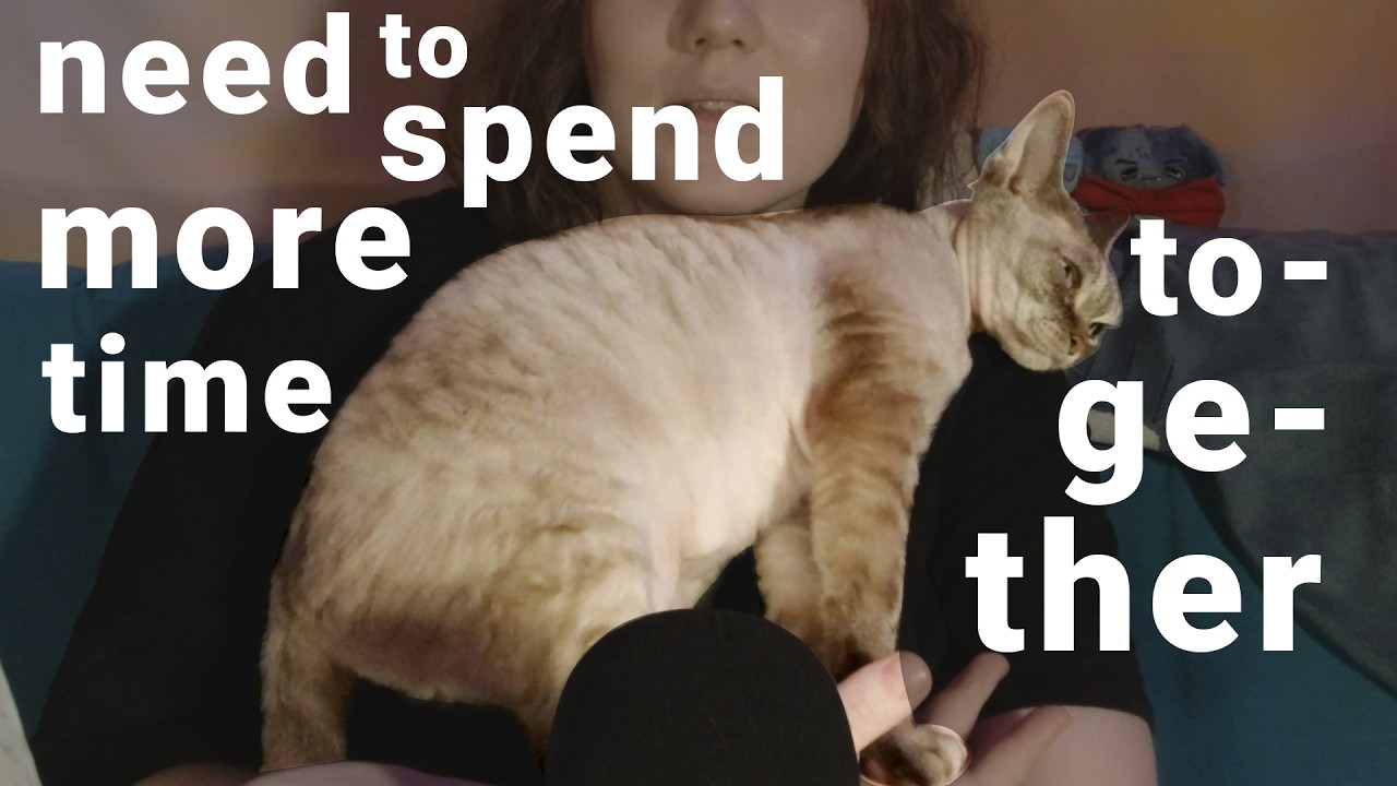 my videos but the main focus is on my cat (6) | My life with Devon Rex