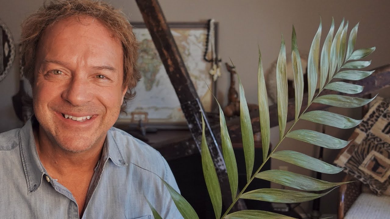 Palm Sunday: God can use Anything and Anyone! — Carrying the Cross around the World